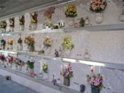 Per sei mesi è vietato morire