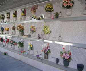 Per sei mesi è vietato morire