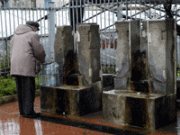 Ridateci indietro la Sacramora