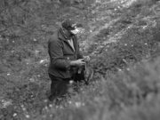 Alla scoperta dell’erba di campo