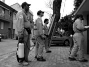 Chikungunya e Tigre: ecco come metterli ko