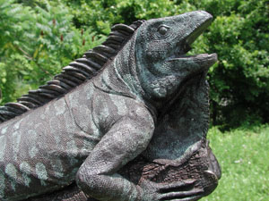 In salotto tra tappeti, pitoni e boa