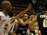 Le chele fanno ritorno in spiaggia