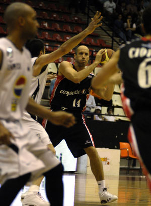 Le chele fanno ritorno in spiaggia