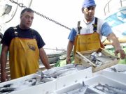 Caro gasolio, i pescatori tornano a gettare le reti