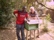 Solidarietà dolce come il miele