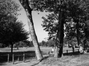 Una nuova sobrietà per abitare la terra