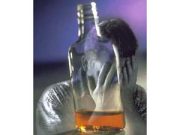 Fuori dalla bottiglia in 12 passi