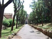 La vita del cristiano nello Spirito