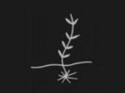 Una nuova traduzione della Bibbia