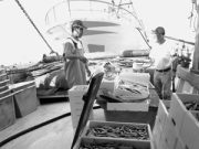 Pesca: la filiera è tutta una crisi