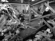 Qualità della vita, Rimini bocciata da Legambiente