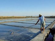 Il sapore riminese del sale della terra