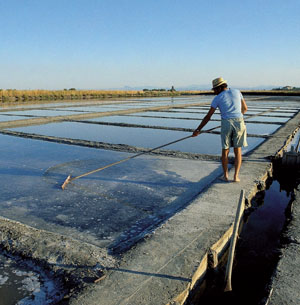 Il sapore riminese del sale della terra