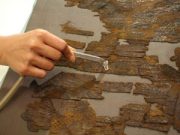 La veste restaurata di Sigismondo