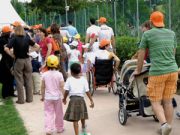 Venite alla festa, sarà gioia per tutti