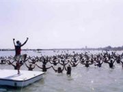 Una spiaggia per tutti i gusti