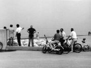 La vendetta dell’Adriatico malato