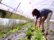“Basta cemento! Viva l’agricoltura”