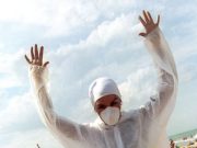 Influenza suina: quale allarme?