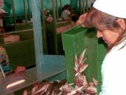 La sogliola in cassa integrazione