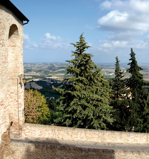 Laudato sii per frate Vento