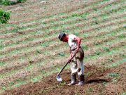 “Altri anni così e spariremo”