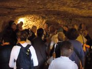 Col profumo della Chiesa primitiva