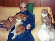 Una città dai mestieri antichi