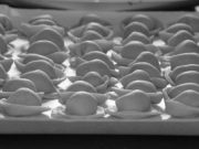 Festa sul desco ma senza mode