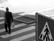 Un venerdì a cavallo delle “zebre”