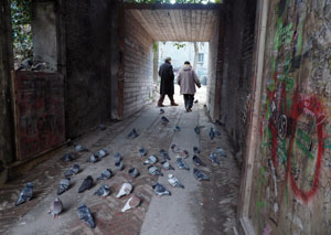 C’è una città da sistemare