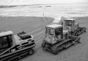 Barriere: Regina a rischio?