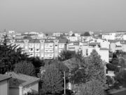 Rimini nord, presto pic nic in pineta