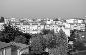 Rimini nord, presto pic nic in pineta