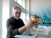 2010: tartarughe a rischio?