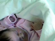 In un lustro s’è fatto il “taglio”