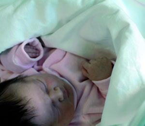 In un lustro s’è fatto il “taglio”