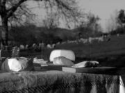 Prodotti ogm, se li conosci…