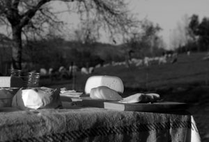 Prodotti ogm, se li conosci...