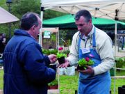 È primavera, fiorisce il pollice verde