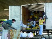 Torna il campo lavoro!