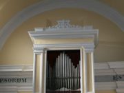 Gli organi che recuperano la voce