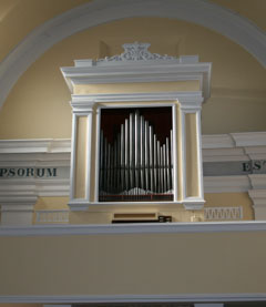 Gli organi che recuperano la voce