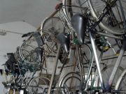 Cercasi dentiera disperatamente