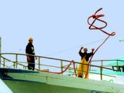 Quel pesce ha bisogno di tempo