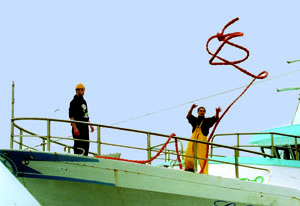 Quel pesce ha bisogno di tempo