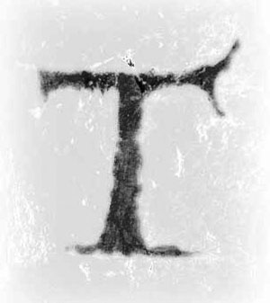 Con Francesco in perfetta letizia