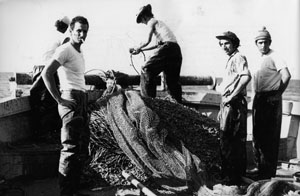 U scògghju: storia di una migrazione