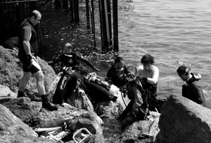 Quei fondali dal fascino incompreso